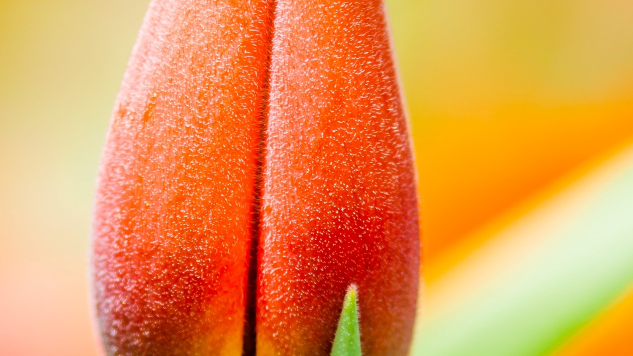 巨蟹座|熬过22天，四大星座禄星化禄，天赐好运，句句入心