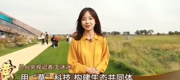 王冰冰|前两天还在嗑王冰冰徐嘉余，转眼就变成了劈腿瓜？