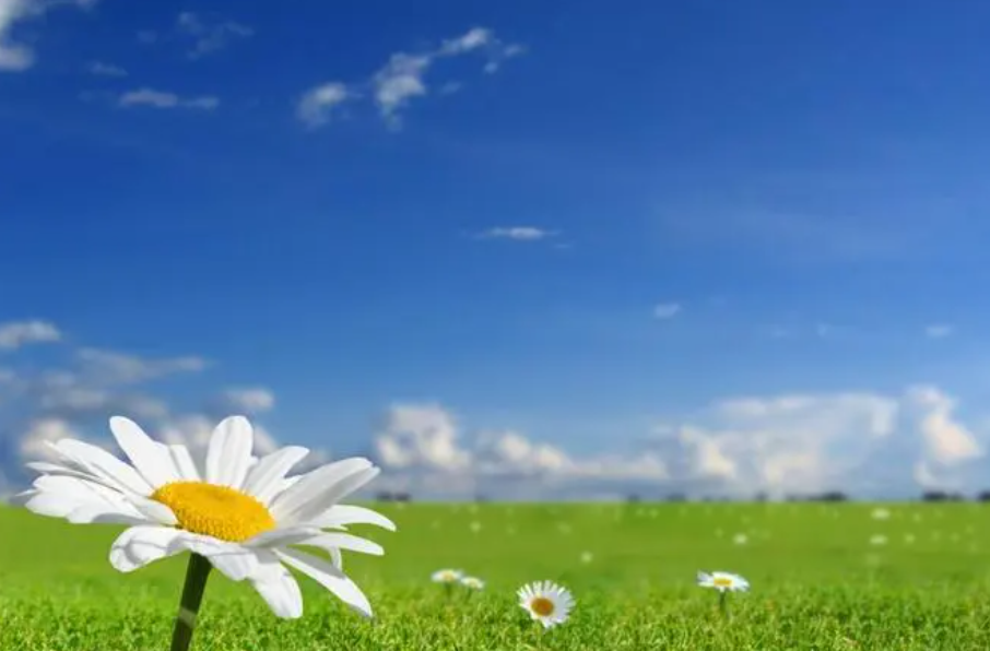 石家庄|石家庄迈出了全国第一步?躺平职场人的春天还会远吗?