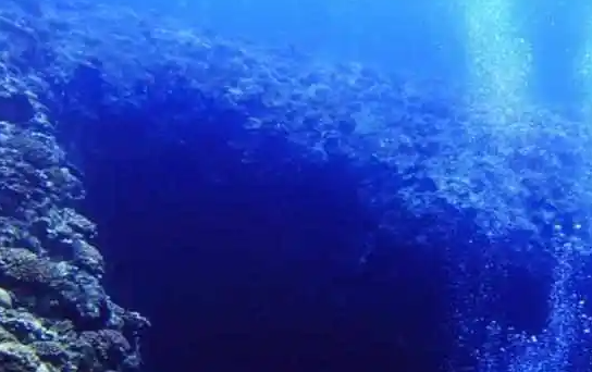 假如地球上所有的海洋都蒸发了,会发生什么事情?