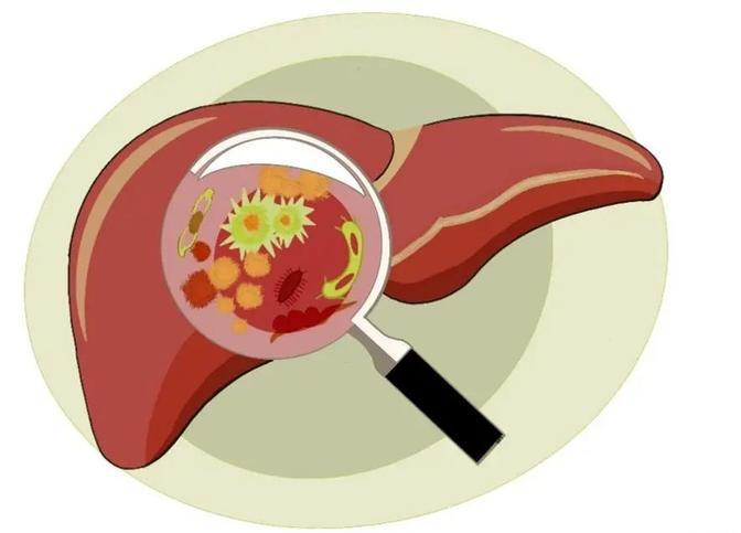肝癌|中医对肝癌有多重要？医生提醒：这5种人，更适合中医治疗
