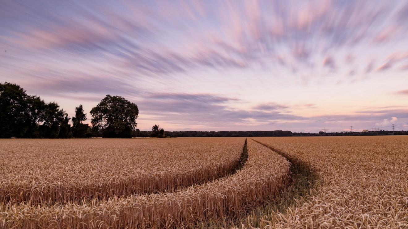 |工作中遇到人与人的关系,可以把握好这几点,就不会陷入危机