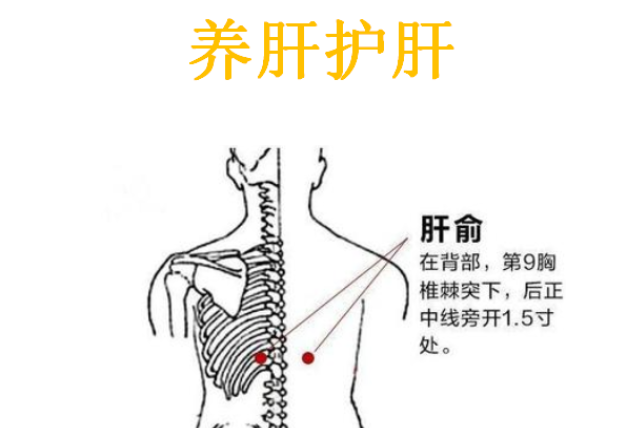 穴位|八旬老中医透露，这九种人体的特效穴位，能够让你少去几趟医院（附精准穴位指导）