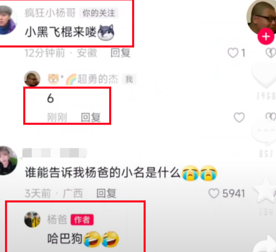 哈巴狗|杨爸道歉自称“哈巴狗”，网友称赞高情商，一家子把流量玩明白了