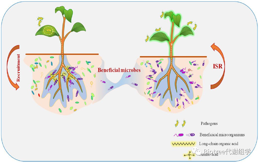 百趣土壤非靶标代谢组学文献分享,来自Microbiome的灵感