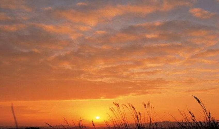 脑梗|中秋节吃什么好?