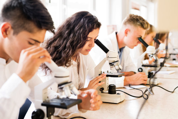 高智商生物与高智商生物的区别是什么?