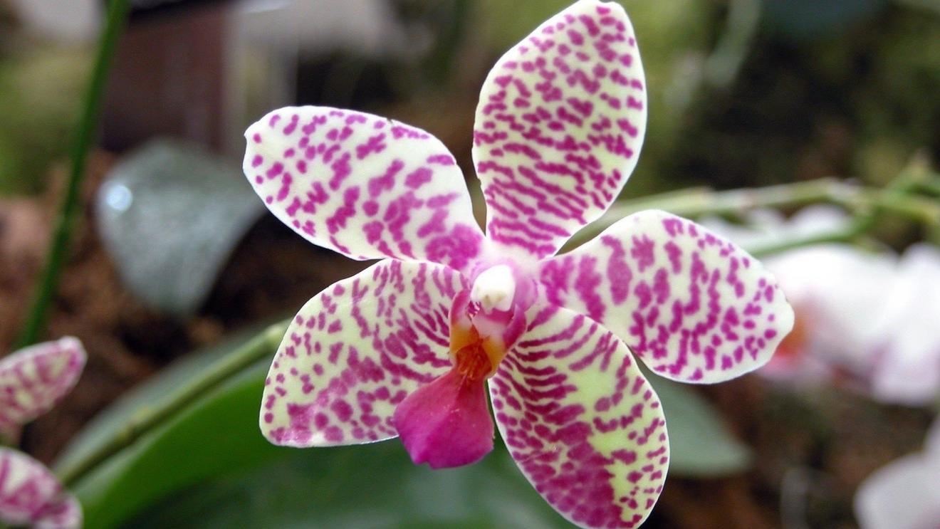 |最感人的婚姻，是感觉到被爱