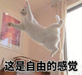 自由职业者|嗯哈课堂:自由职业带来的幸福感