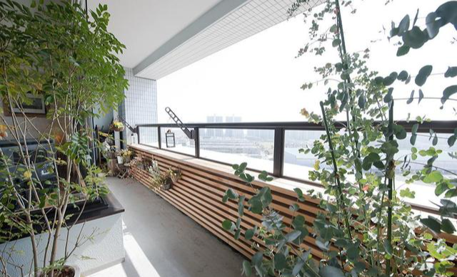 看了67岁阿姨的独居生活照:那叫一个雅致,拍照给大家瞧瞧,羡慕