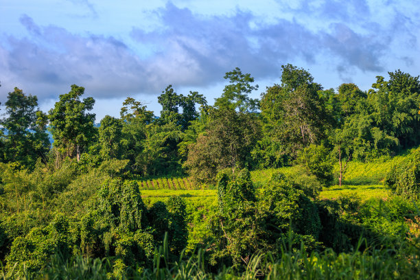 求职|在美国读本科硕士,你求职中最重要的还是你的简历