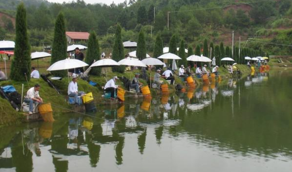 饵料|春冬交季鱼不好钓？掌握方法，你也可以爆护！