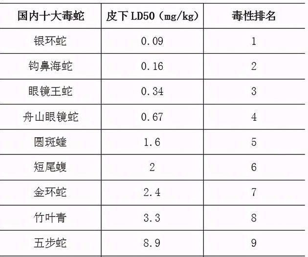 中国十大毒蛇之一的金环蛇,有人将它当做无毒蛇对待,这是为何?