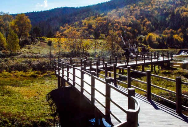 森林公园|旅游好去处普达措森林公园，领略与夏季截然不同的景色，如梦似幻