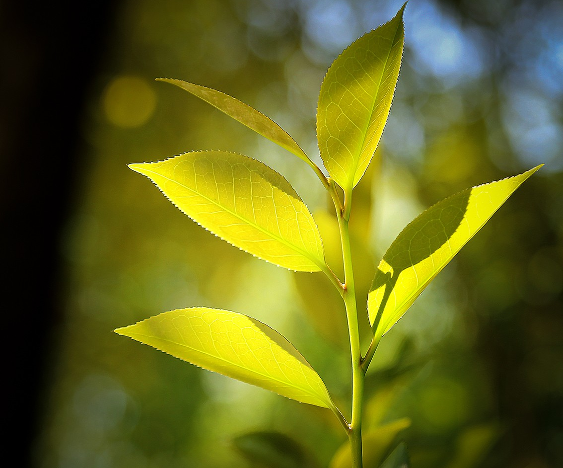 掌握了多种构图法则,为什么拍的照片依然不好看?牢记这6个要点