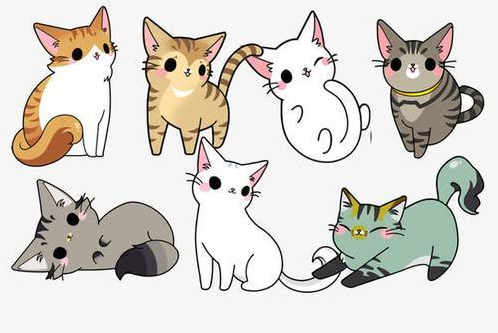 道系快穿|无CP硬核男主沙雕快穿爽文：《道系快穿》