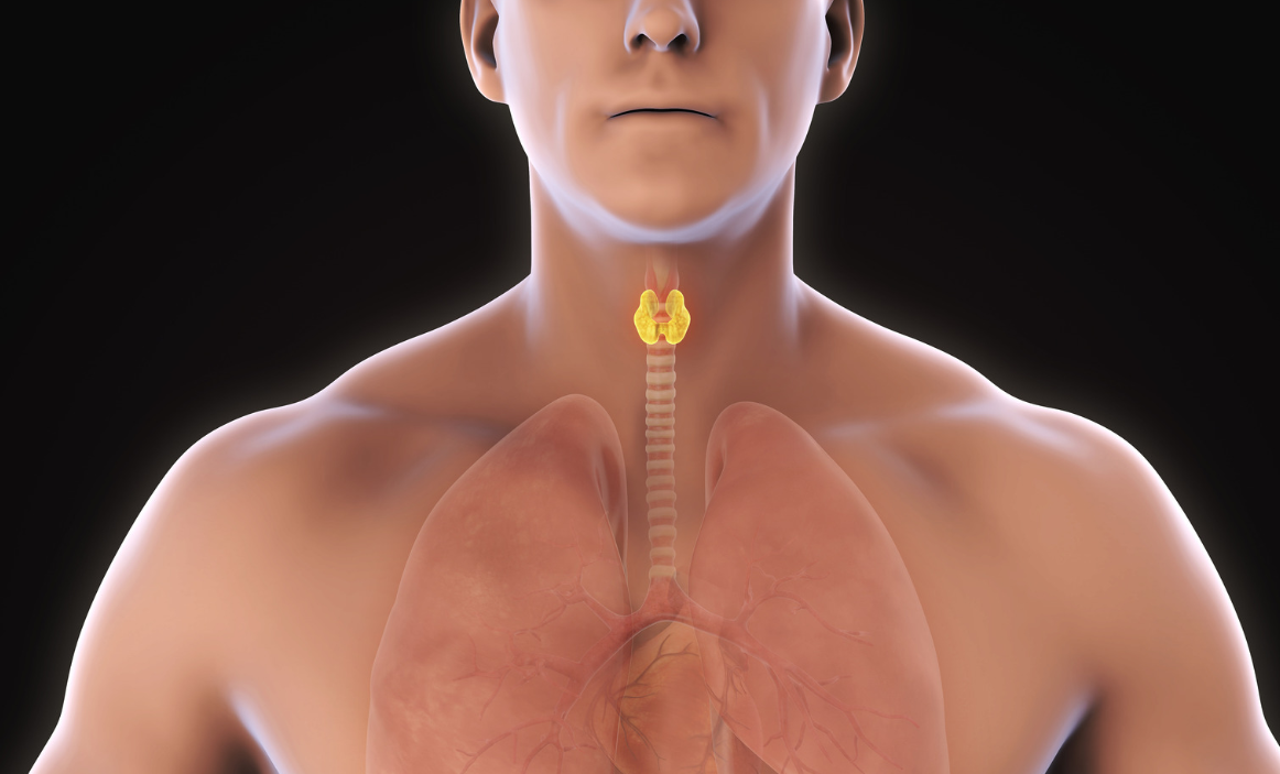 甲状腺|这3种蔬菜,或许比辛辣食物还伤甲状腺,告诉家人,一定要少吃