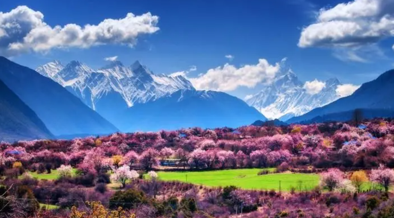 林芝|林芝景点，这些你知道吗，来看看你去过哪些