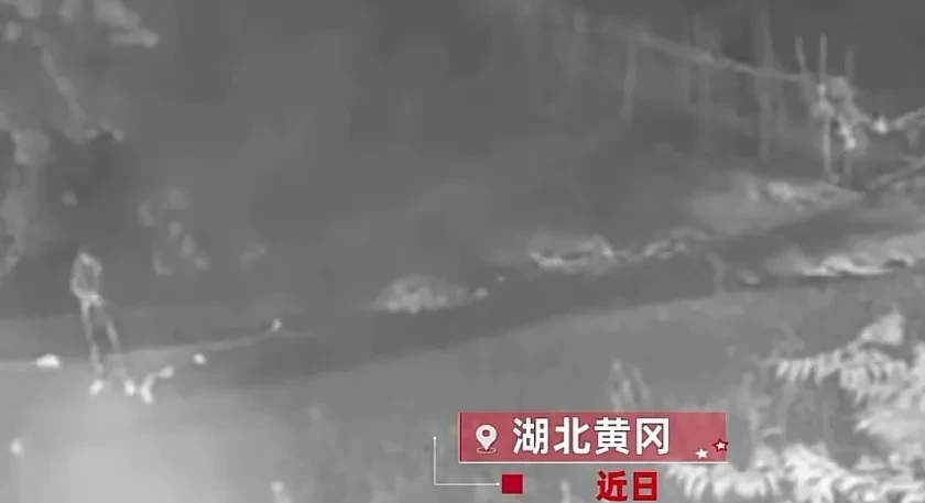 男子开车撞人自称被撞者是父亲,逃逸后被撞者不治身亡!
