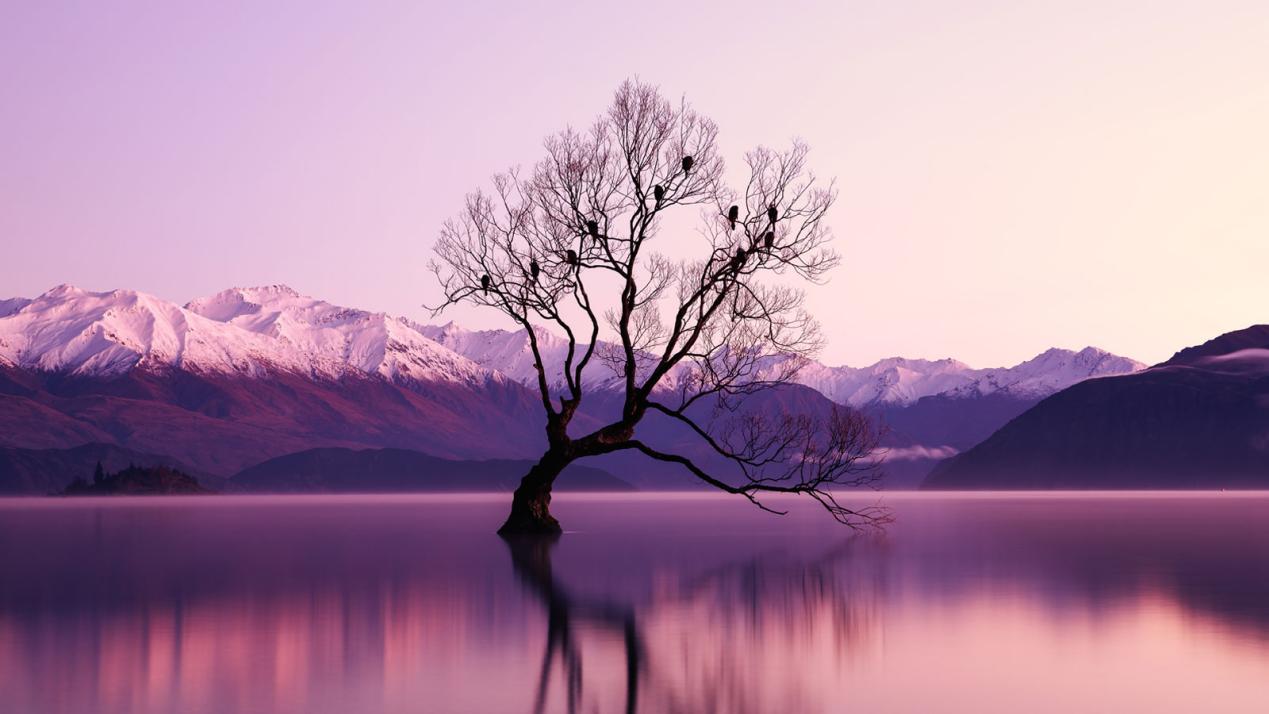 |公交车上的这一幕，能告诉我们些什么？