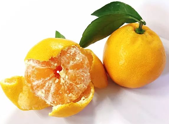 经络|吃货必备的柑橘类水果!