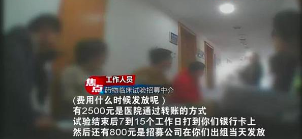 体检|职业试药人，拿命换钱，却毁掉了一生