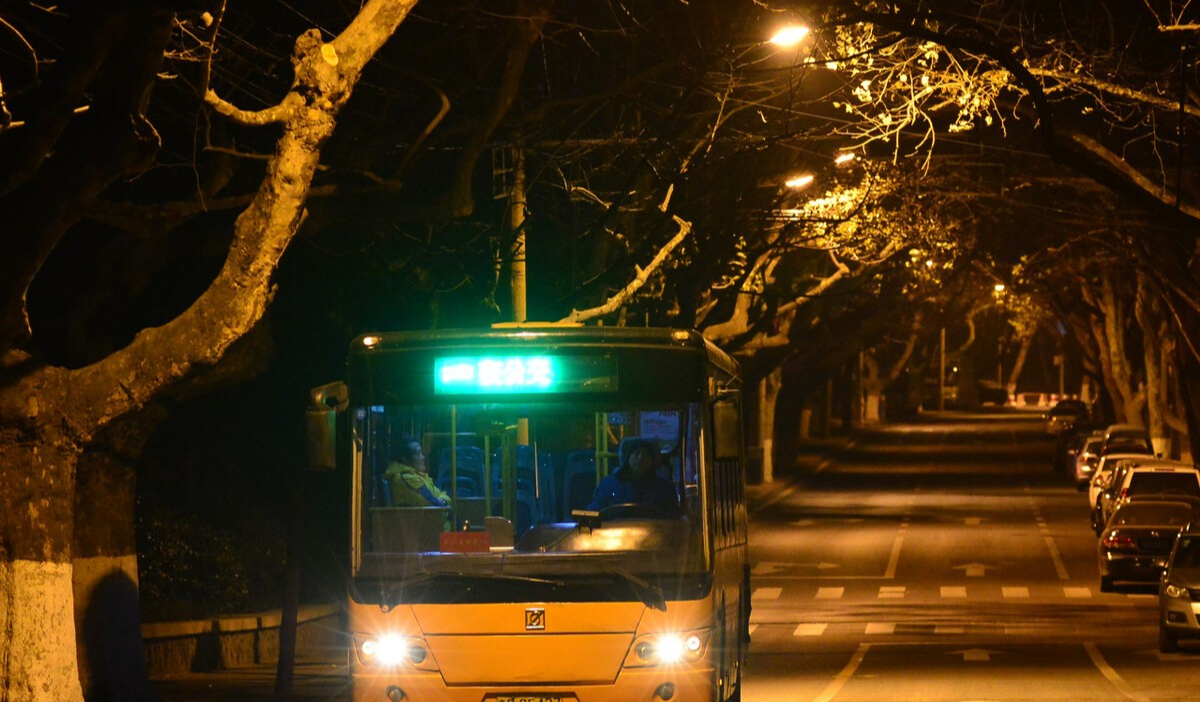 辛夷坞|辛夷坞《应许之日》：终有一天等到你