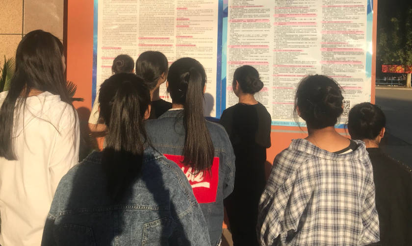 hr|大公司HR道出真实，三无家庭的本科生我们不招，反而更青睐专科生