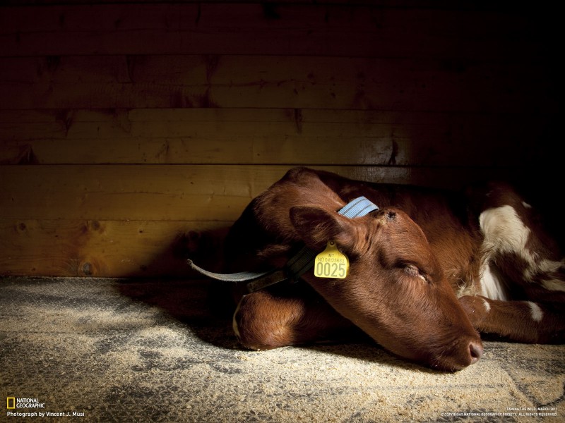 连衣裙|“十二星座的第六感都很准,有的比较准,自己最清楚”