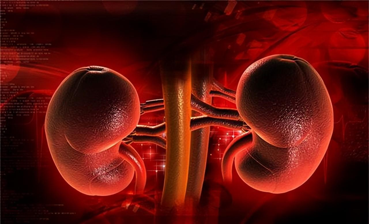 肾衰竭|58岁张叔查出慢性肾衰竭,原因:擅自将辛伐他汀换成瑞舒伐他汀