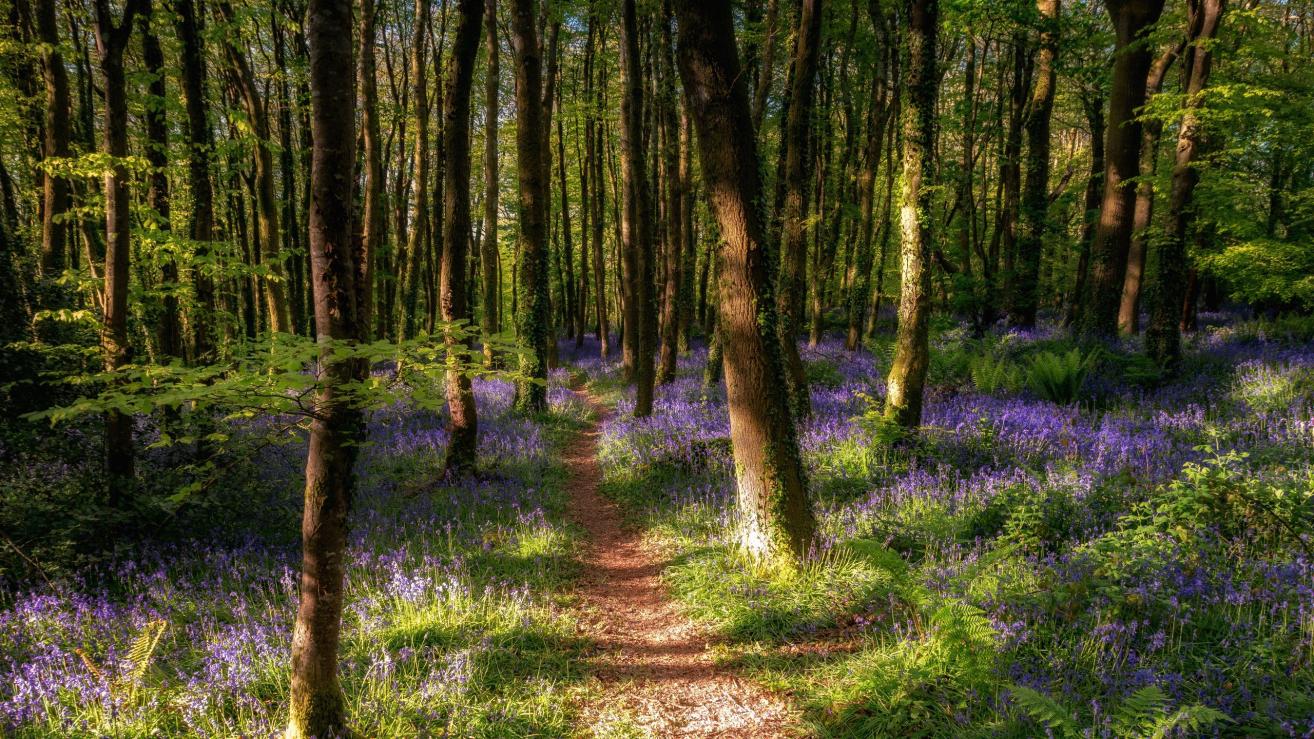 |职场中,不要在背后说老板坏话