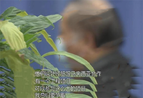2014年上海一起富婆包养小鲜肉引发的伦理悲剧