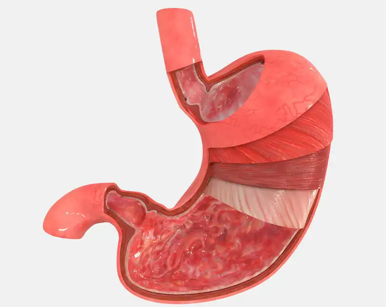 马齿苋|多家医院联合声明：停止饮用“1水”，或是胃癌“加速器”，趁早戒掉