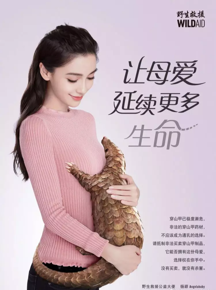 Angelababy|海外顶级媒体评价杨颖，用了四个关键词，直言她是最大的超级巨星