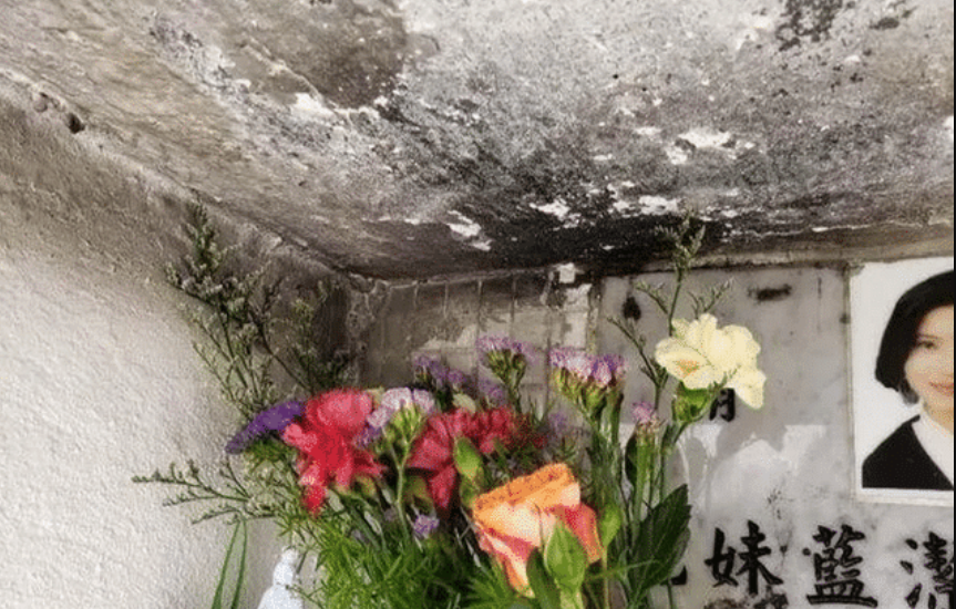 蓝洁瑛|墓碑被污损墓地遭破坏,死后也不得安宁的蓝洁瑛,到底得罪了谁