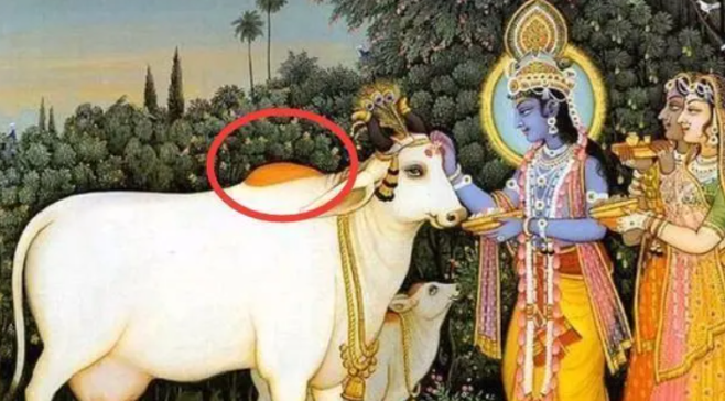 牛肉|印度卫生部长：牛尿能治癌抗新冠，自己不吃“神牛”，却是牛肉出口大国