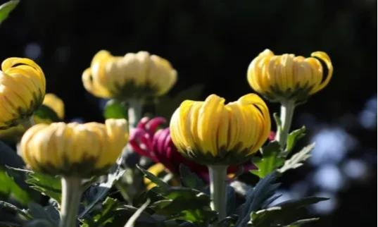 警察 23岁发廊仔:被37岁阿姨骚扰两年苦不堪言,还说怀了我的儿子