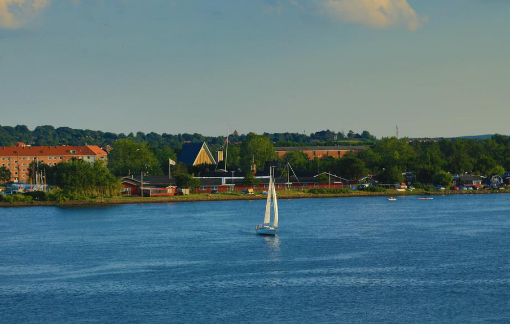 欧洲旅游|丹麦是风景秀丽，环境优美的旅游目的地国家之一，天鹅是国鸟