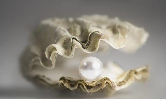 中药|一味不被人熟知的中药，常被人遗弃，入药可清肝明目，宁心安神