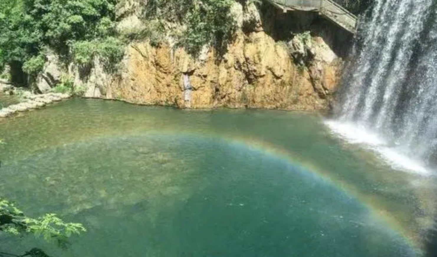 荷花|?十堰，国家极园林城市，你不能错过的景色