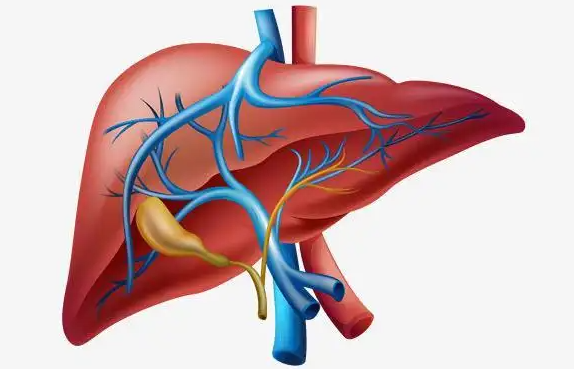 肝脏|肝硬化并非悄无声息,医生:身体若3种表现,多半肝脏已受损