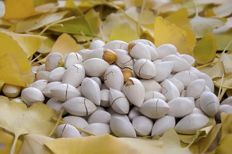 心血管疾病|甲状腺结节消散的“福音”是苦瓜吗?常吃3食物,能疏通甲状腺