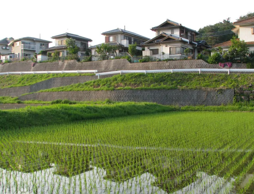 日本|日本的散居村，能用自己的次序意识，治愈有“强迫症”的旅游者
