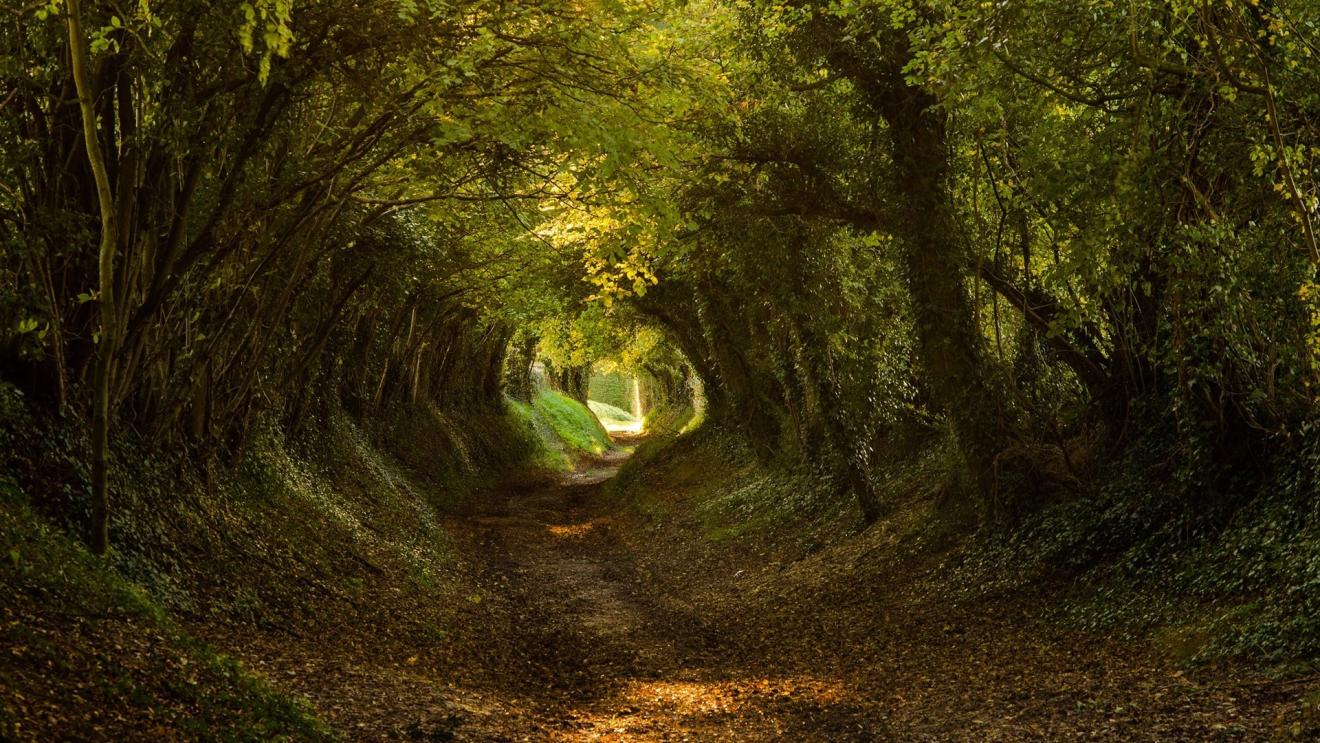 人与人|职场人与人之间的相互利用常见的原因及方法及方法