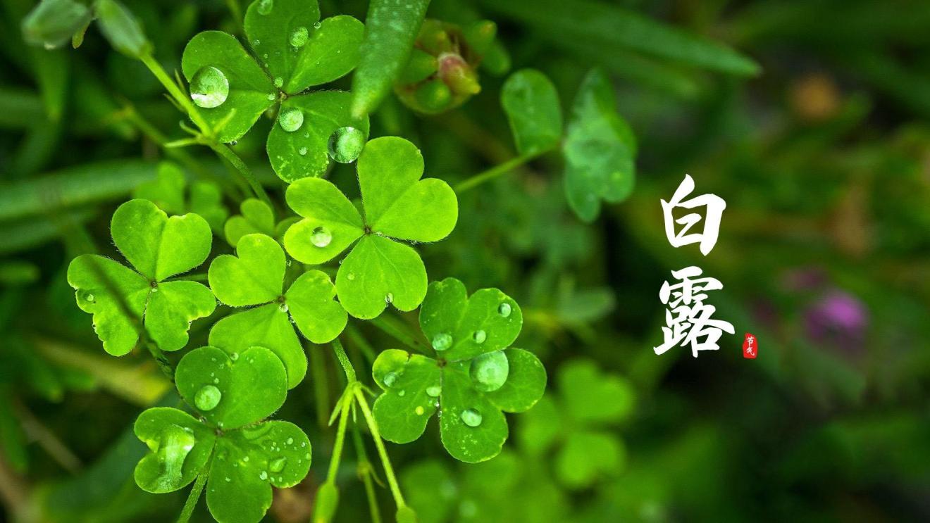 求职|“求职三部曲”让你轻松成功