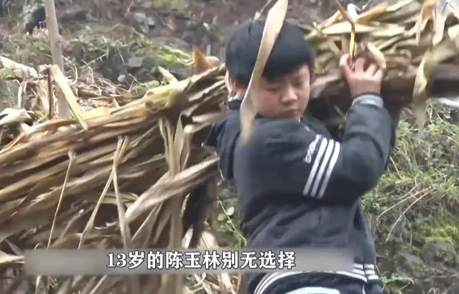 杨幂|9年过去了，那个被杨幂认作弟弟的陈玉林，走出大山了吗？