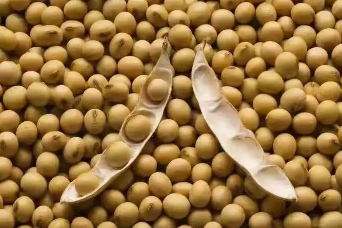 卫星|十一项农业人工智能研究最新成果,推动智慧农业智能化进程