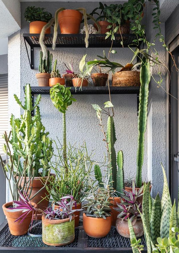 48㎡全能小户，成本低又实用，阳台变身空中花园，真是人间理想！