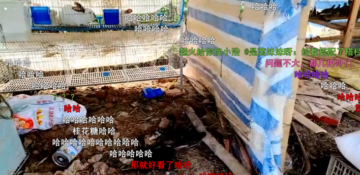|跟他一组要出事，户外一姐爆猛料后，339二台竟劝其搭档9438二台？
