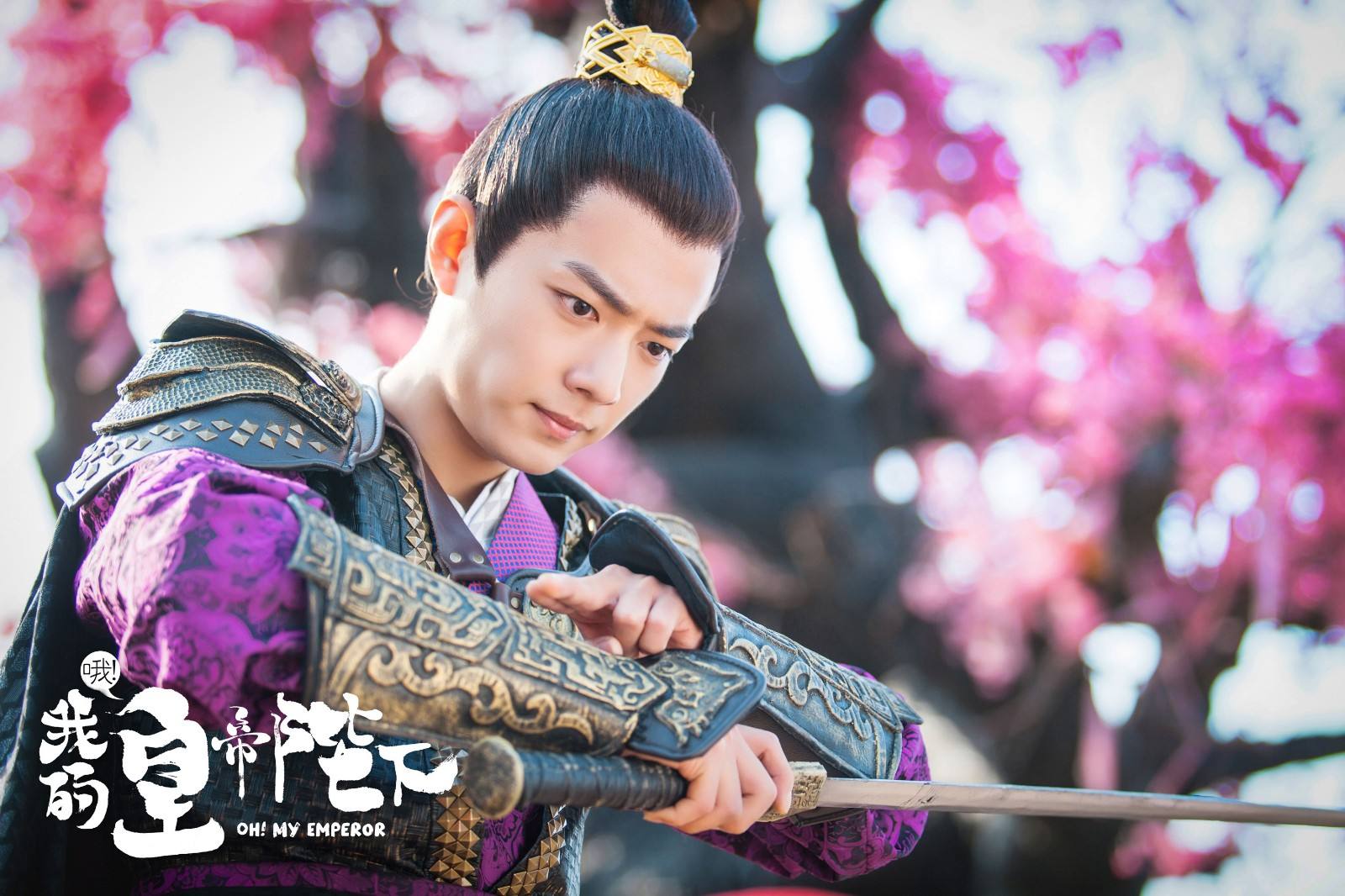 赵露思|肖战赵露思合作的《我的皇帝陛下》特别虐！